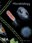 Microbiology, Blair Lee, SEA Publishing, A hands-on course